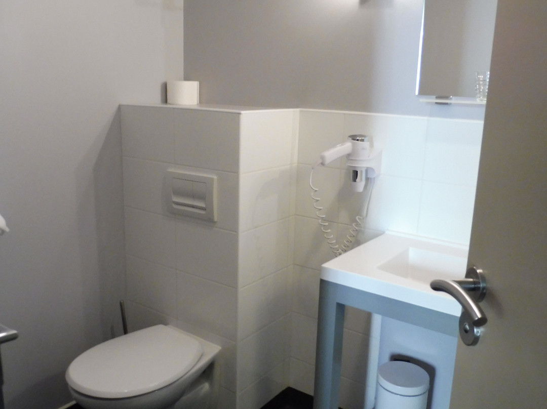 Le Manoir des Cedres主图