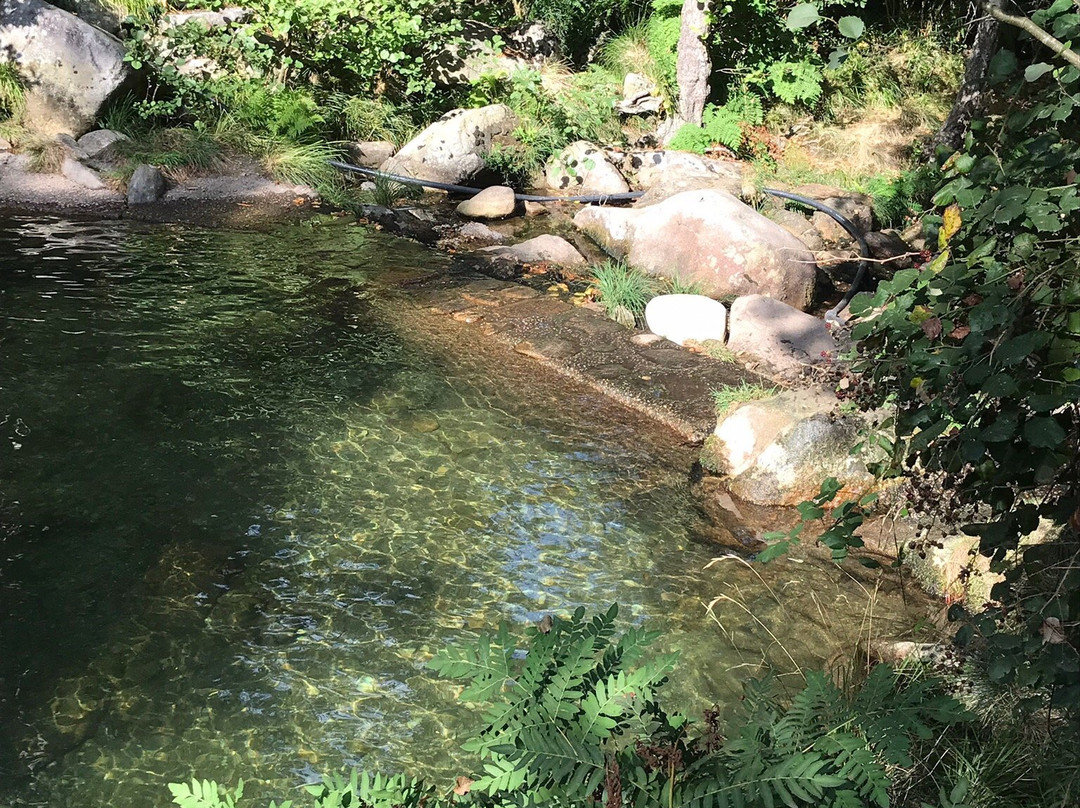 Pozas de Melon景点图片