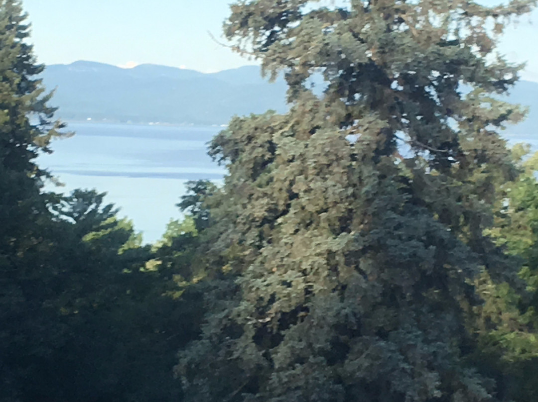 Blind Tiger Burlington主图