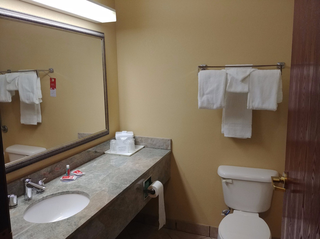 Econo Lodge Inn & Suites主图