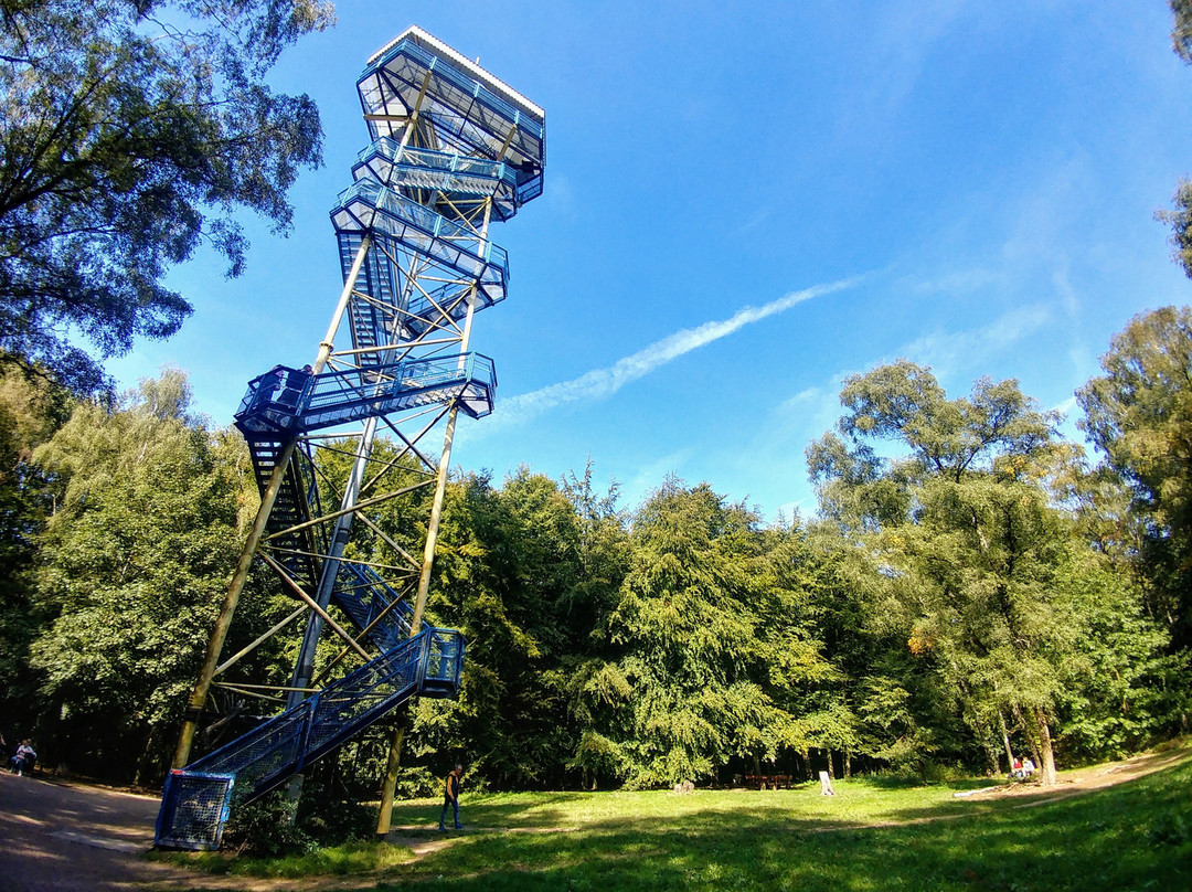 Aussichtsturm Hülser Berg景点图片