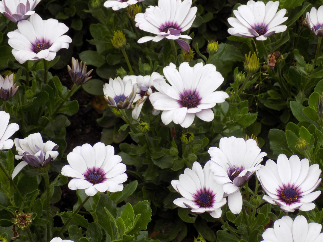 Parks Administration Building-班夫必去景点