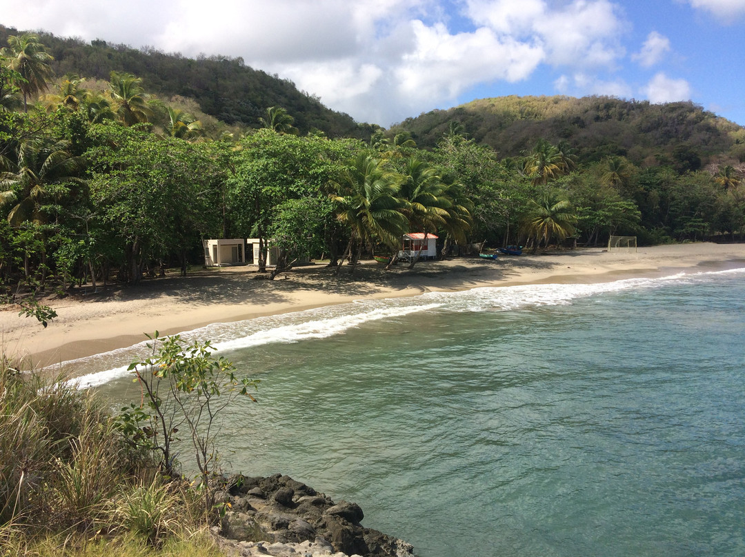 Treetops Villa Guest House主图