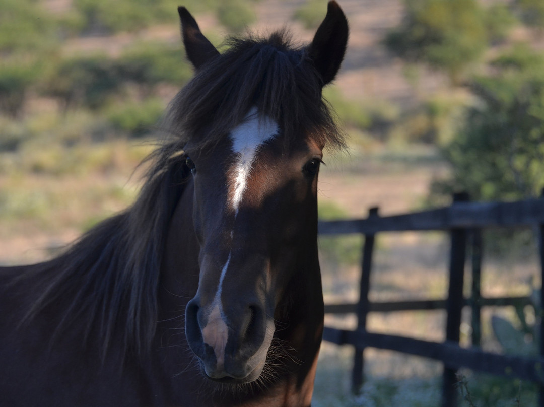 Valle del Arriero-Chimbarongo必去景点