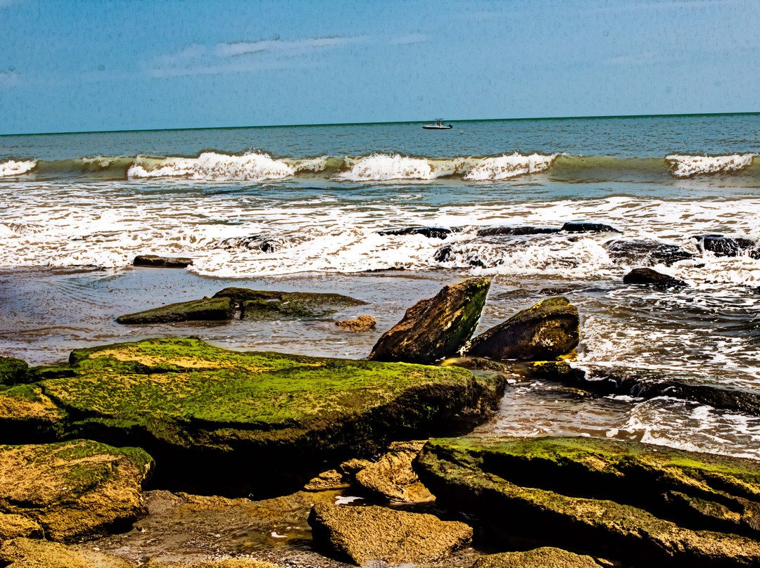Coquina Outcrop景点图片