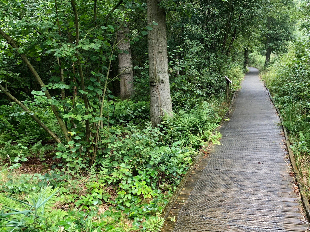 Askham Bog Nature Reserve景点图片