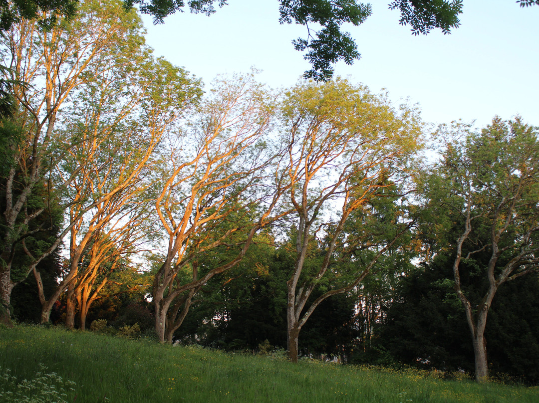 Arboretum de Lisieux景点图片