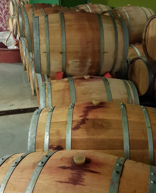 Cantina Di Ruscio景点图片