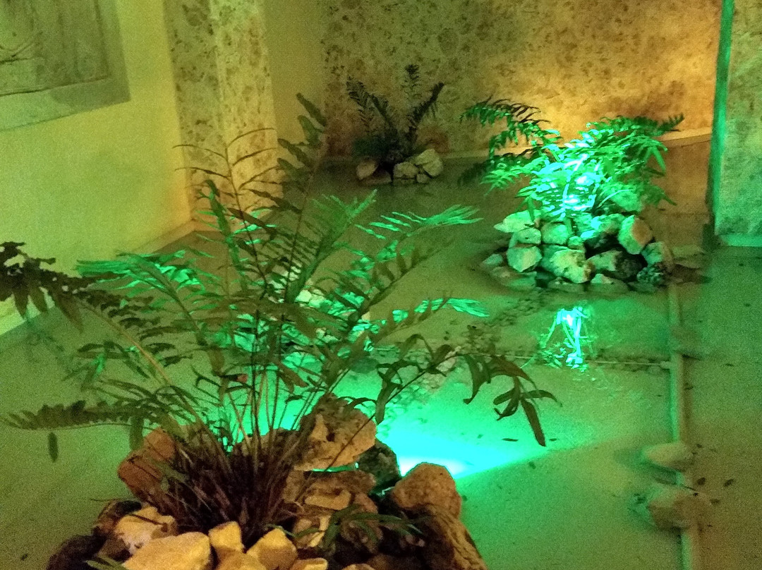 Zentropia Palladium Spa & Wellness景点图片
