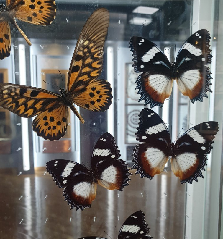 Bandi Land-茂朱郡必去景点