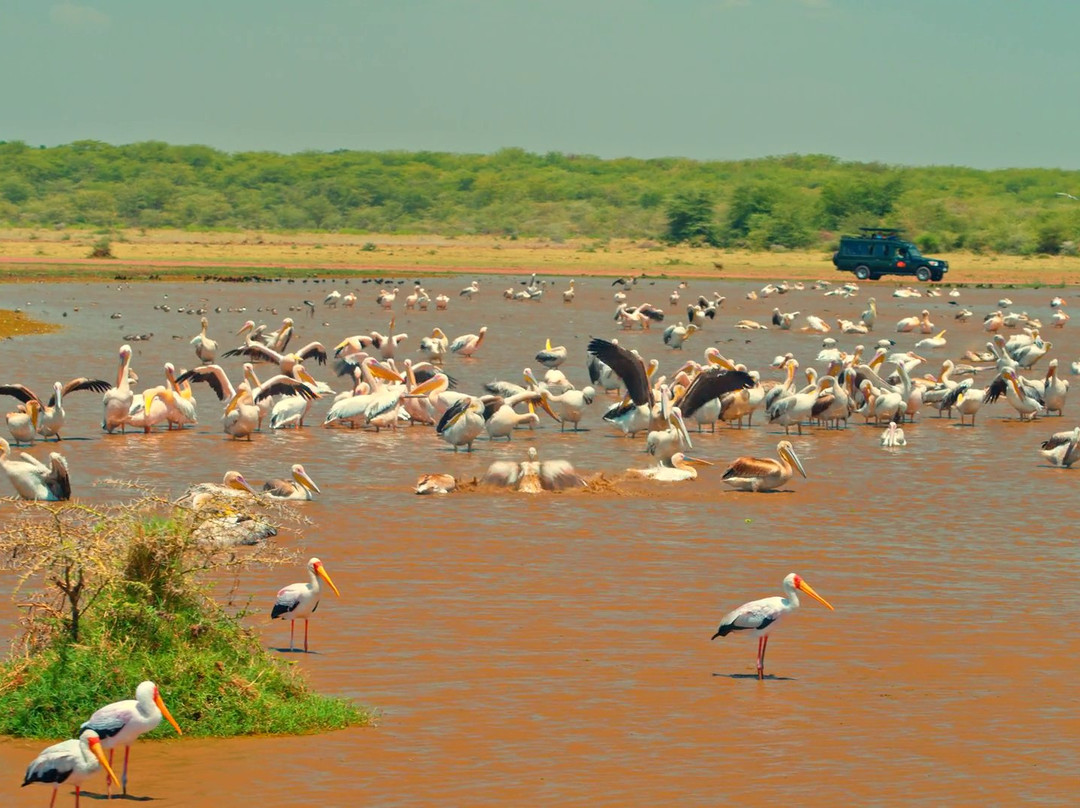Sarafu Travel-阿鲁沙必去景点