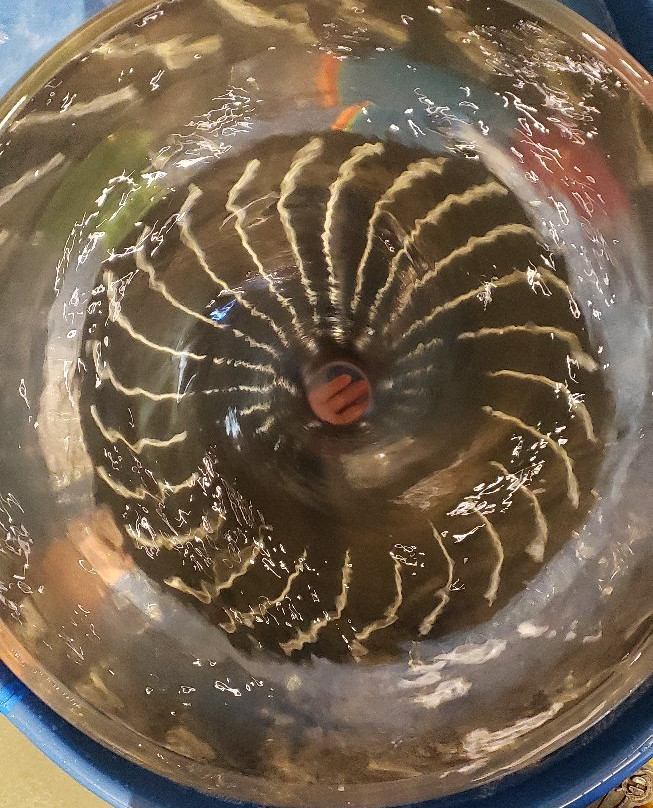 WonderLab-布卢明顿必去景点