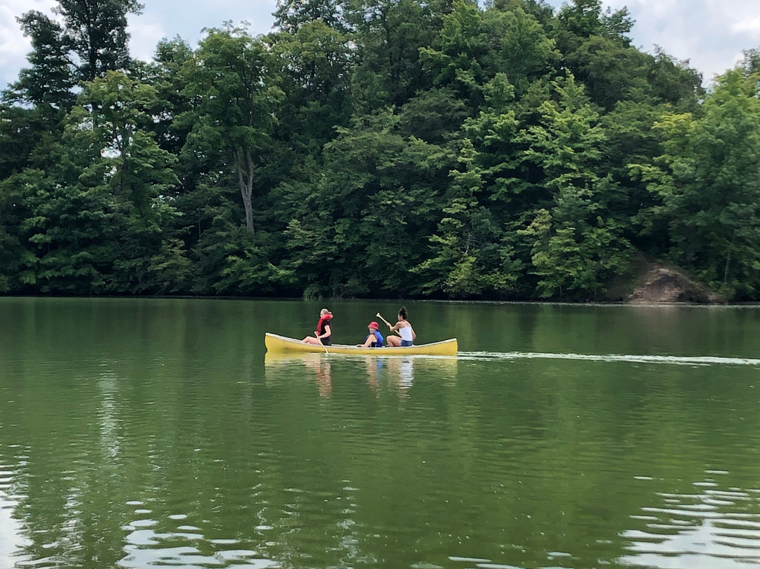 Sharon Creek Conservation Area景点图片