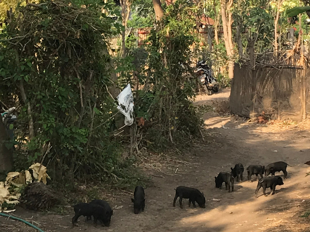Taman Menjangan 民宿主图