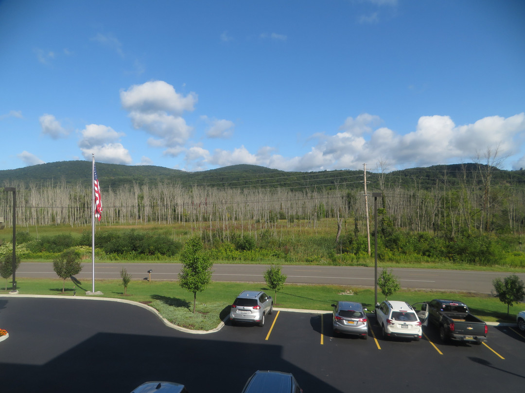 Best Western Plus The Hammondsport Hotel主图