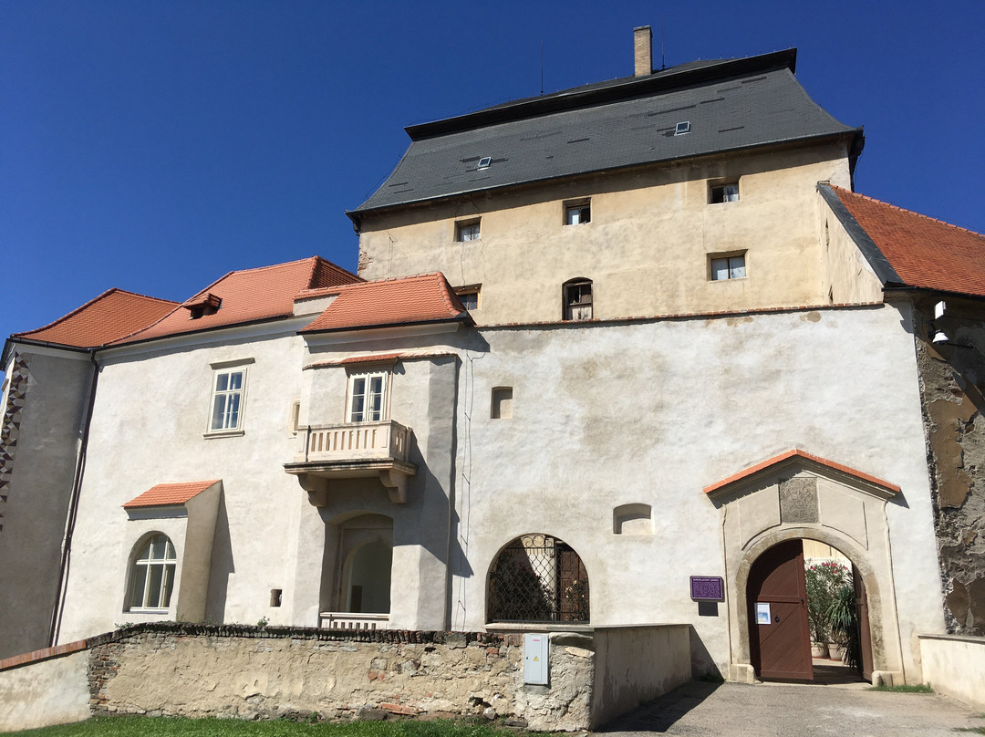 Castle Miroslav景点图片