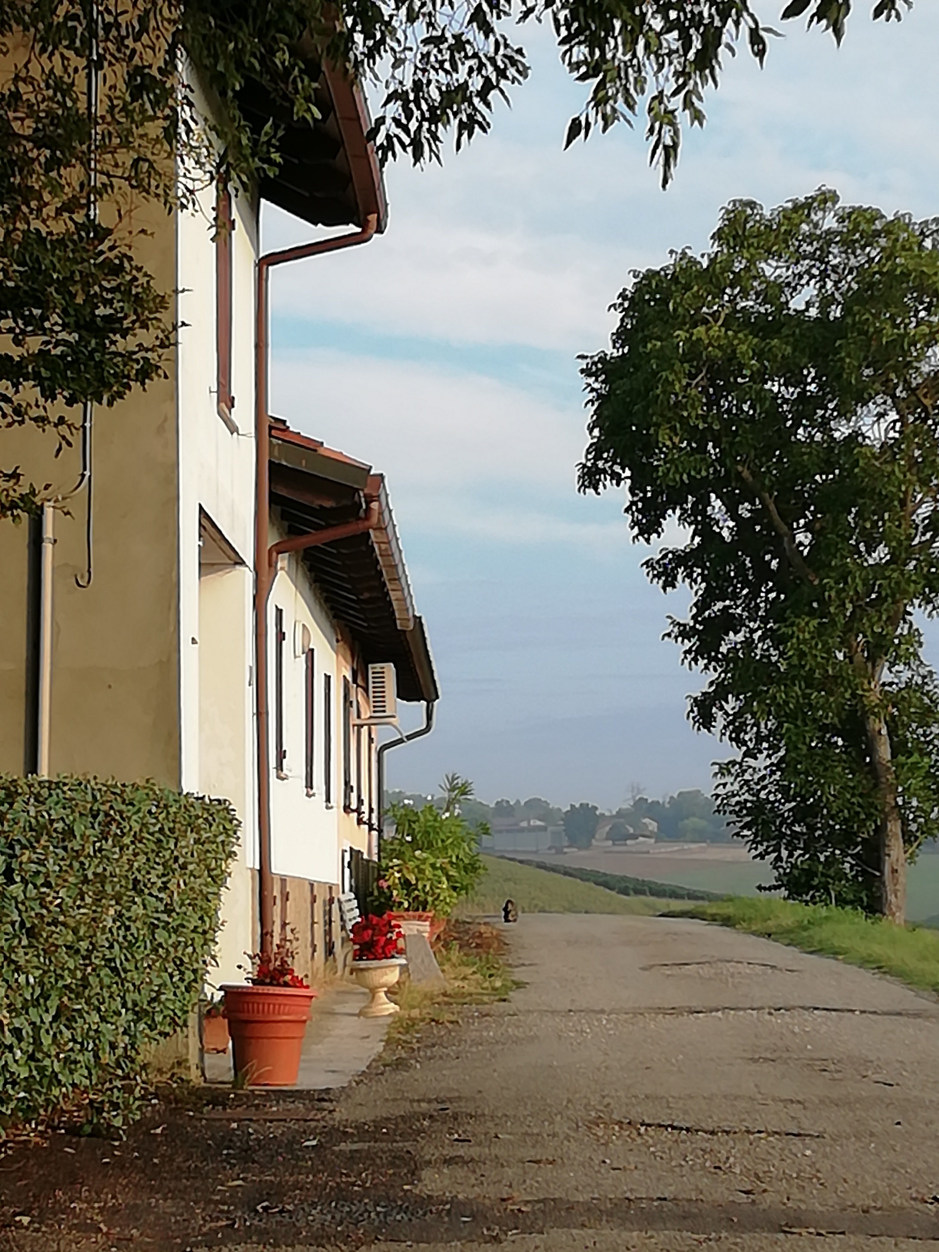Cascina Manu-portrait