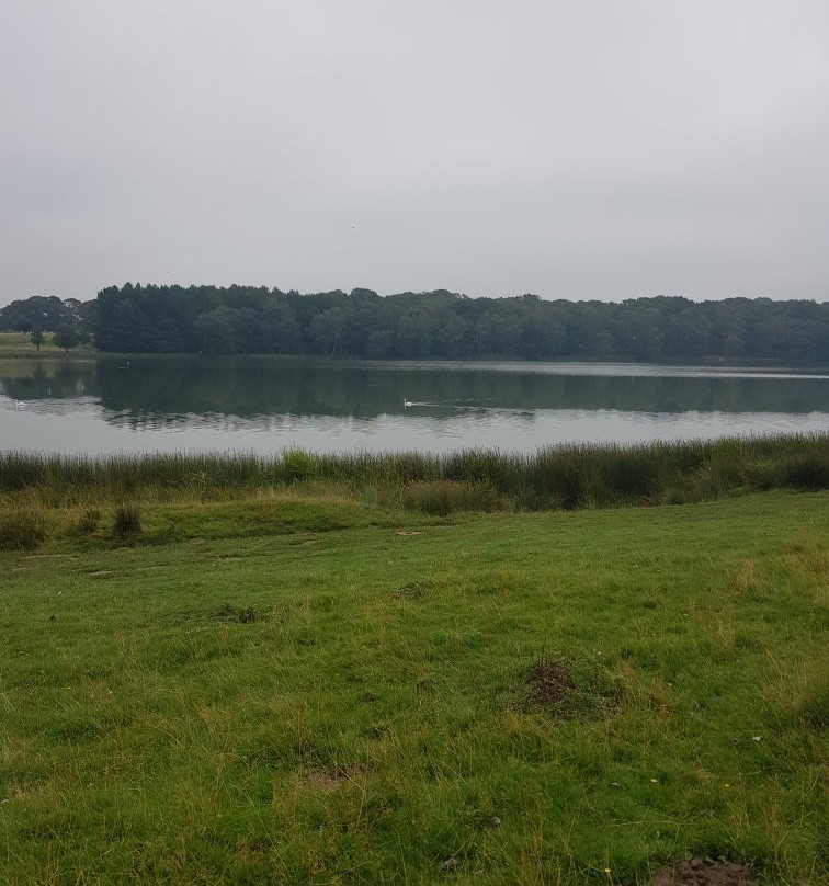 Segway Events-纳茨福德必去景点