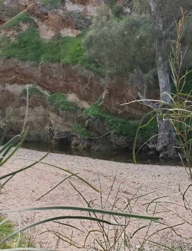 Rocks Reserve景点图片