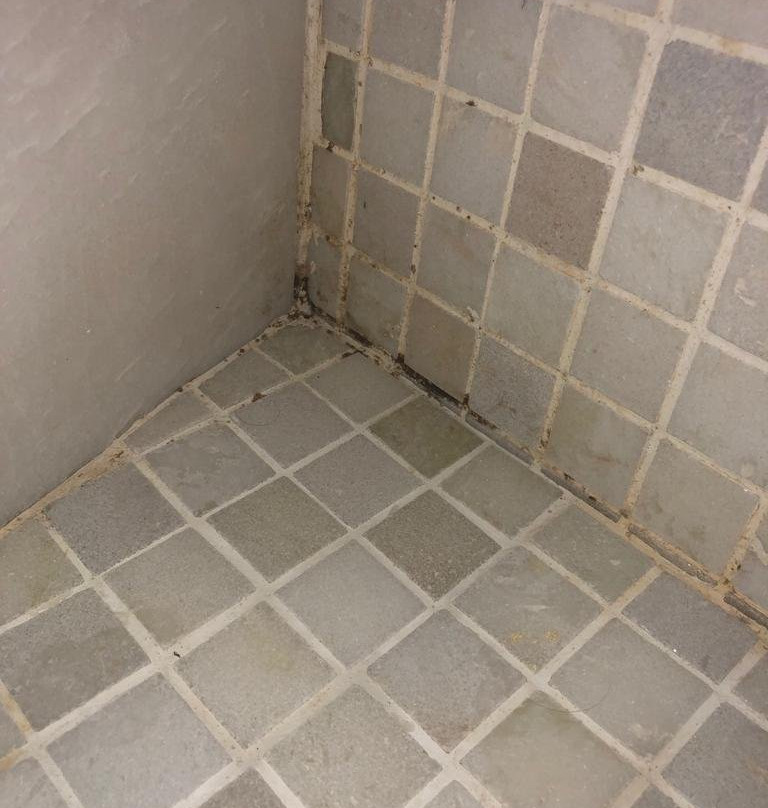 绿洲大公寓酒店主图