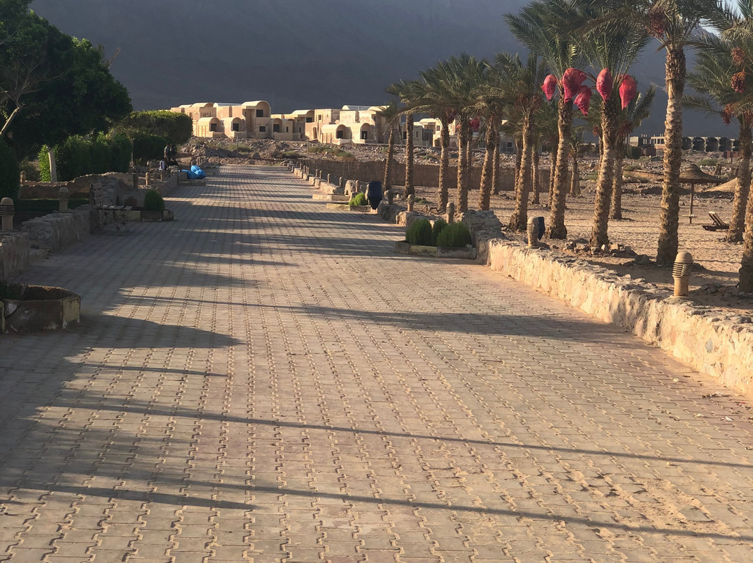 Dessole Holiday Taba Resort主图