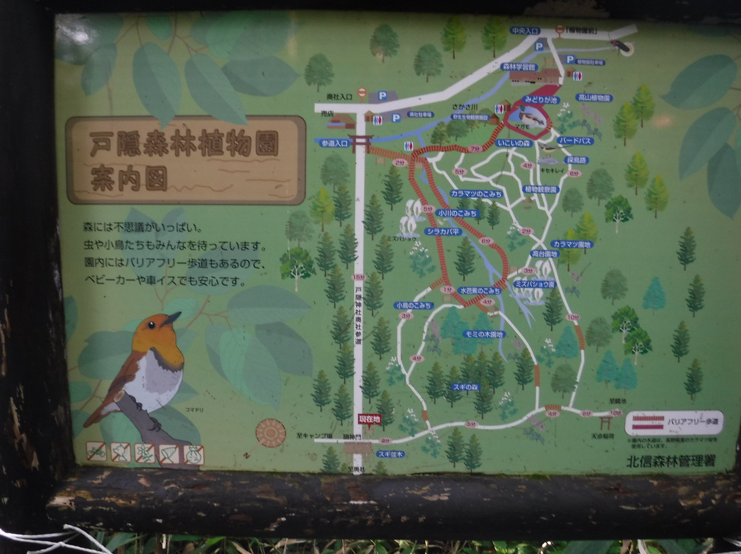 Togakushi Forest Botanical Garden景点图片