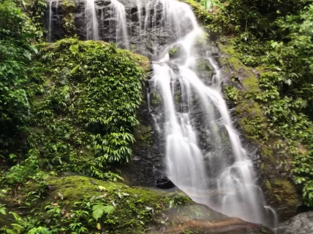 Brownsberg Nature Park-帕拉马里博必去景点