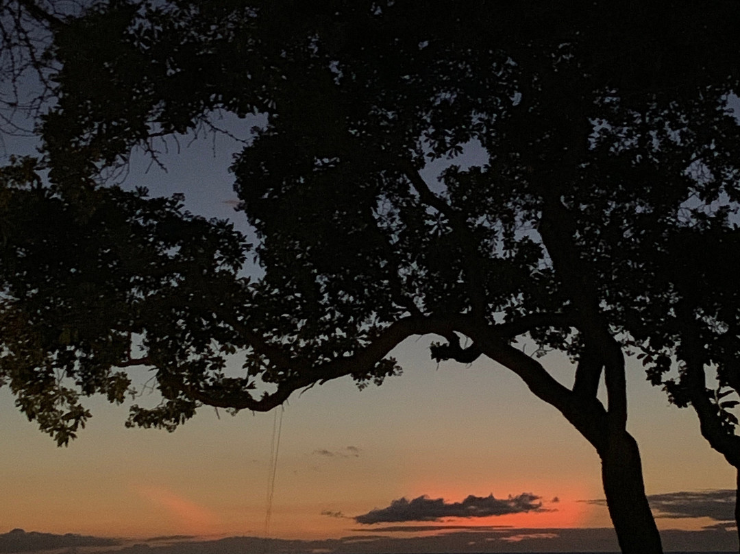 Mauna Kea Oceanfront Luau景点图片