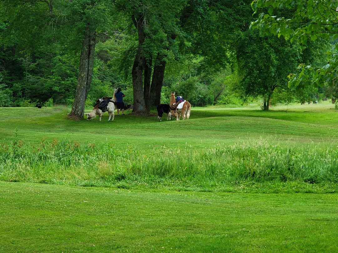 Sherwood Forest Golf Club-Brevard必去景点