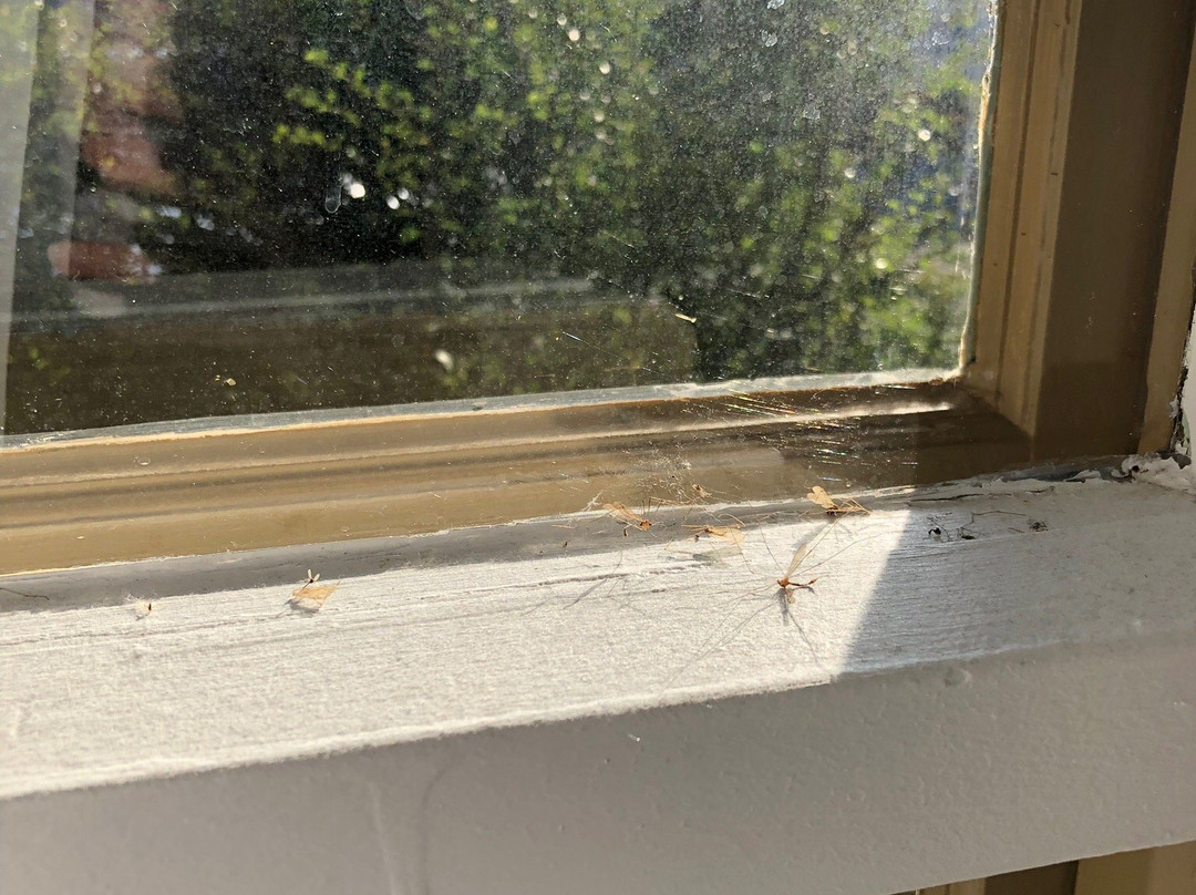 Motel des Berges主图