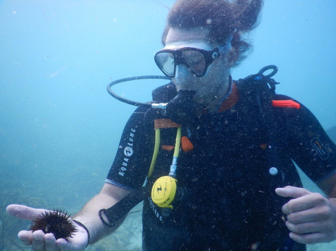 Starfish Diving Cala Millor-卡拉米略尔必去景点