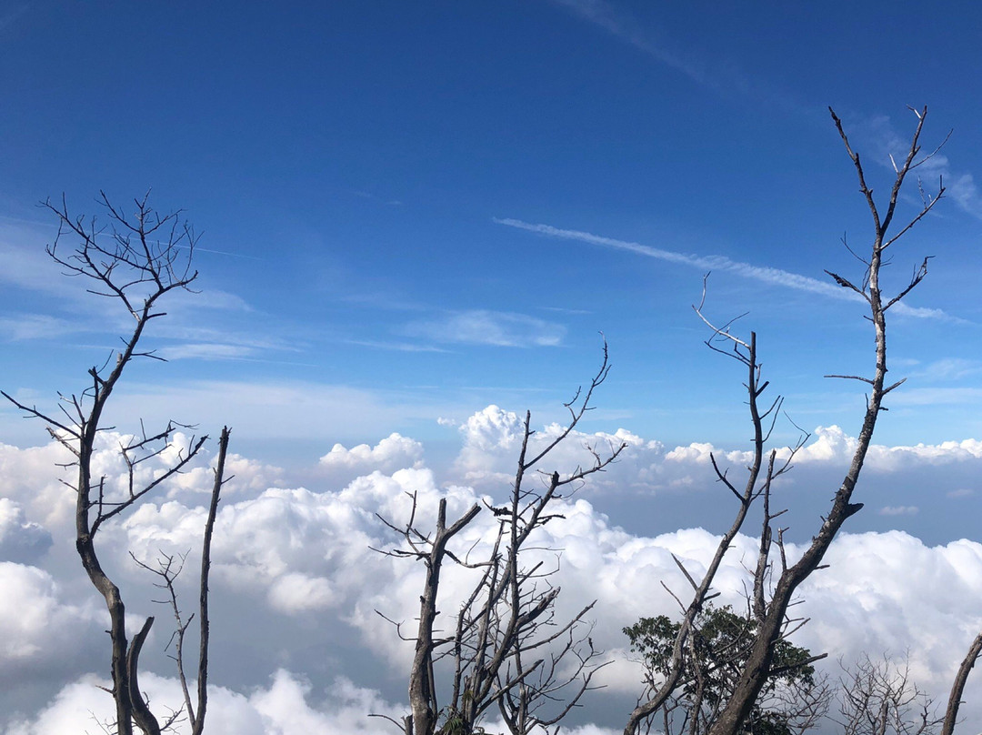 Mount Slamet景点图片