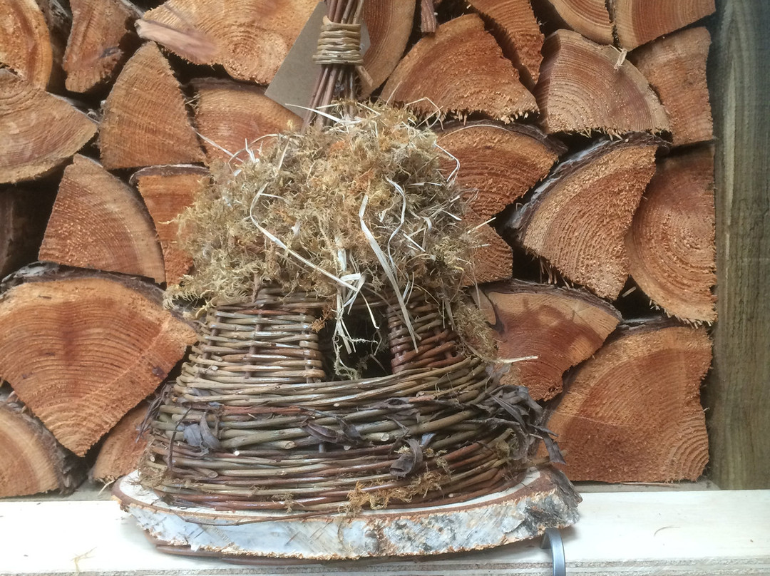 Mull Willow-Ardtun必去景点