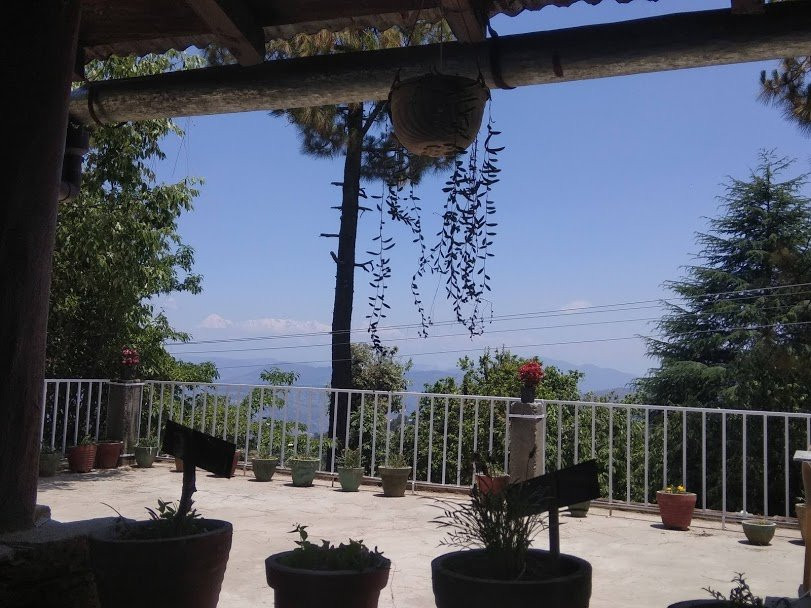 Frozen Woods Resorts主图