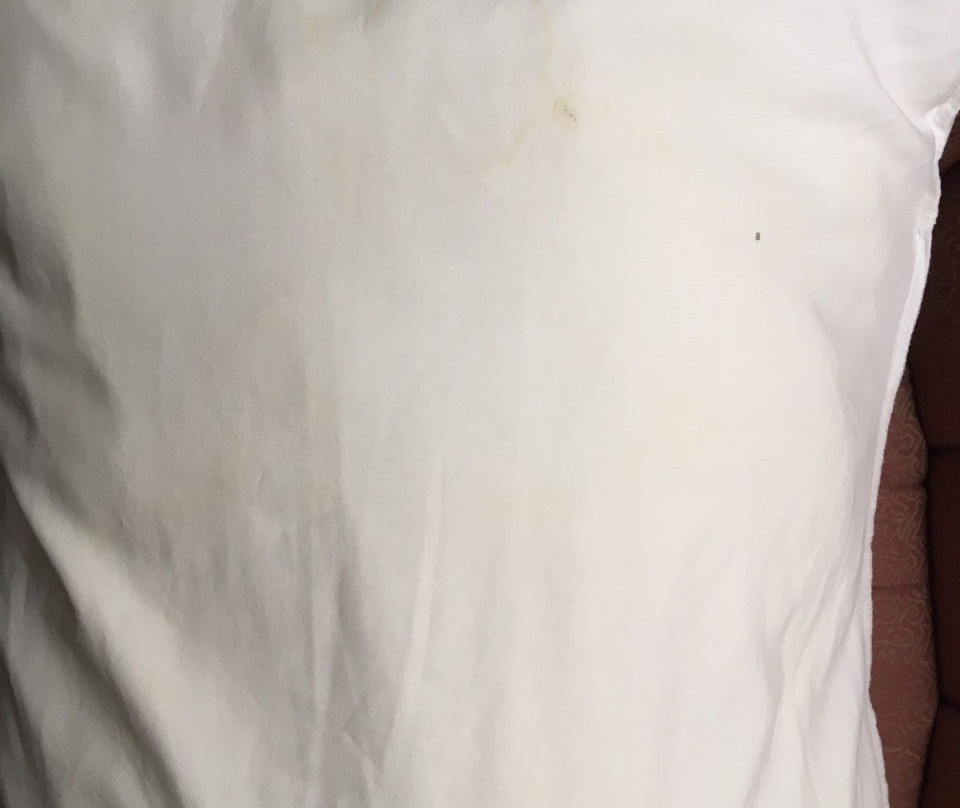 Travelodge Stony Plain主图