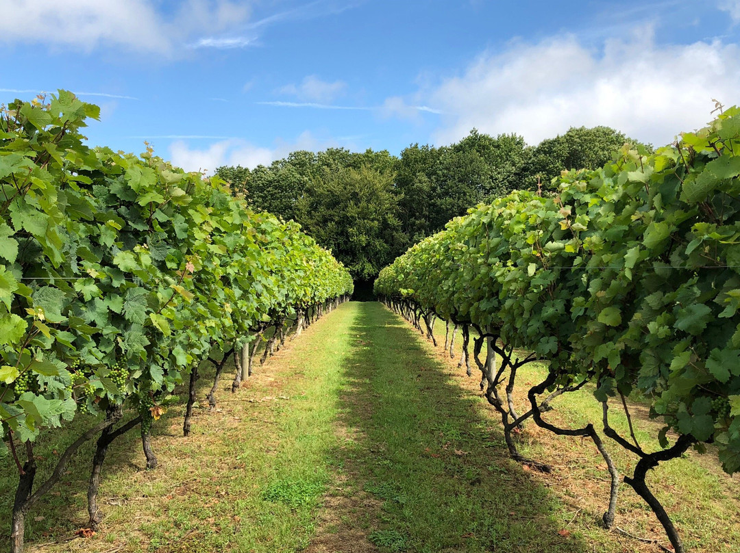 Biddenden Vineyards景点图片