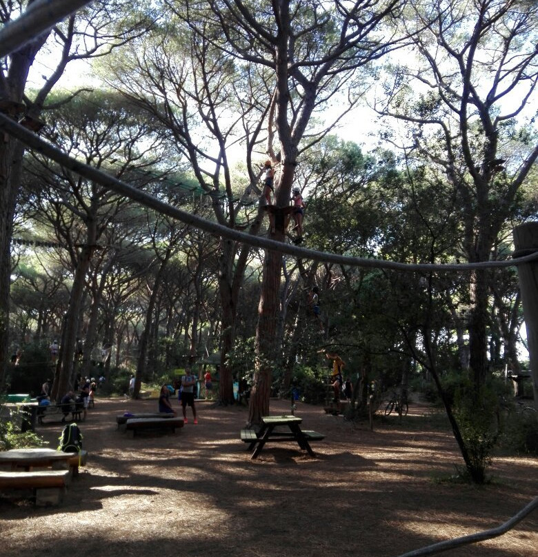 Parco Avventura CieloVerde景点图片