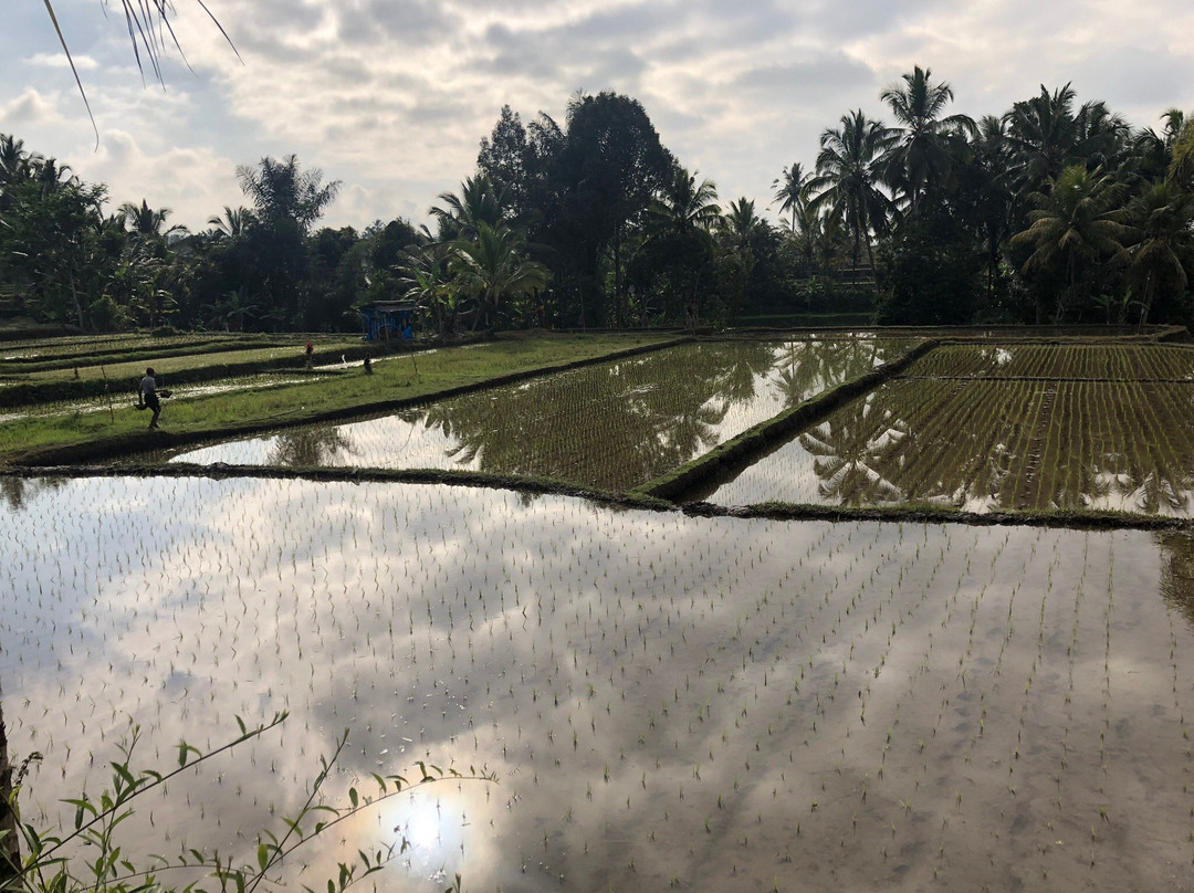 Dukuh Sebatu Villa主图