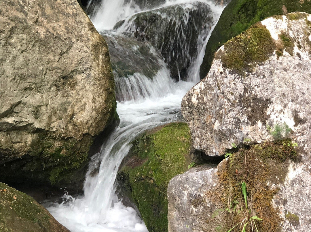 Myra Falls-Muggendorf必去景点