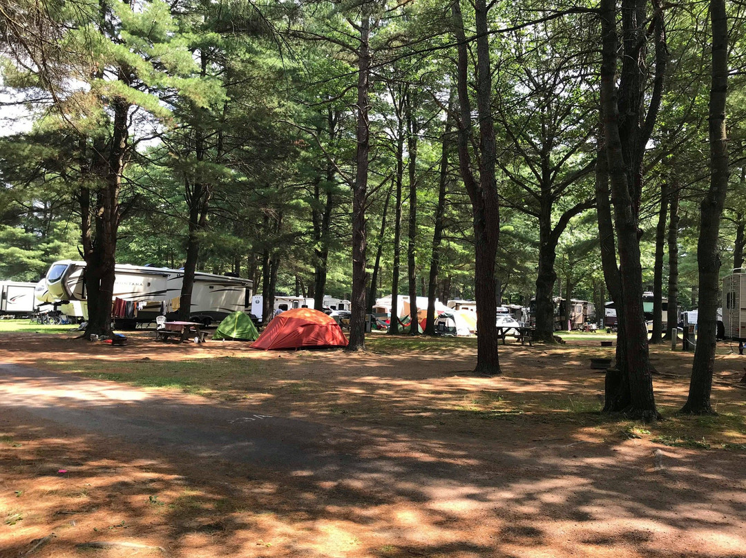 Malletts Bay Campground