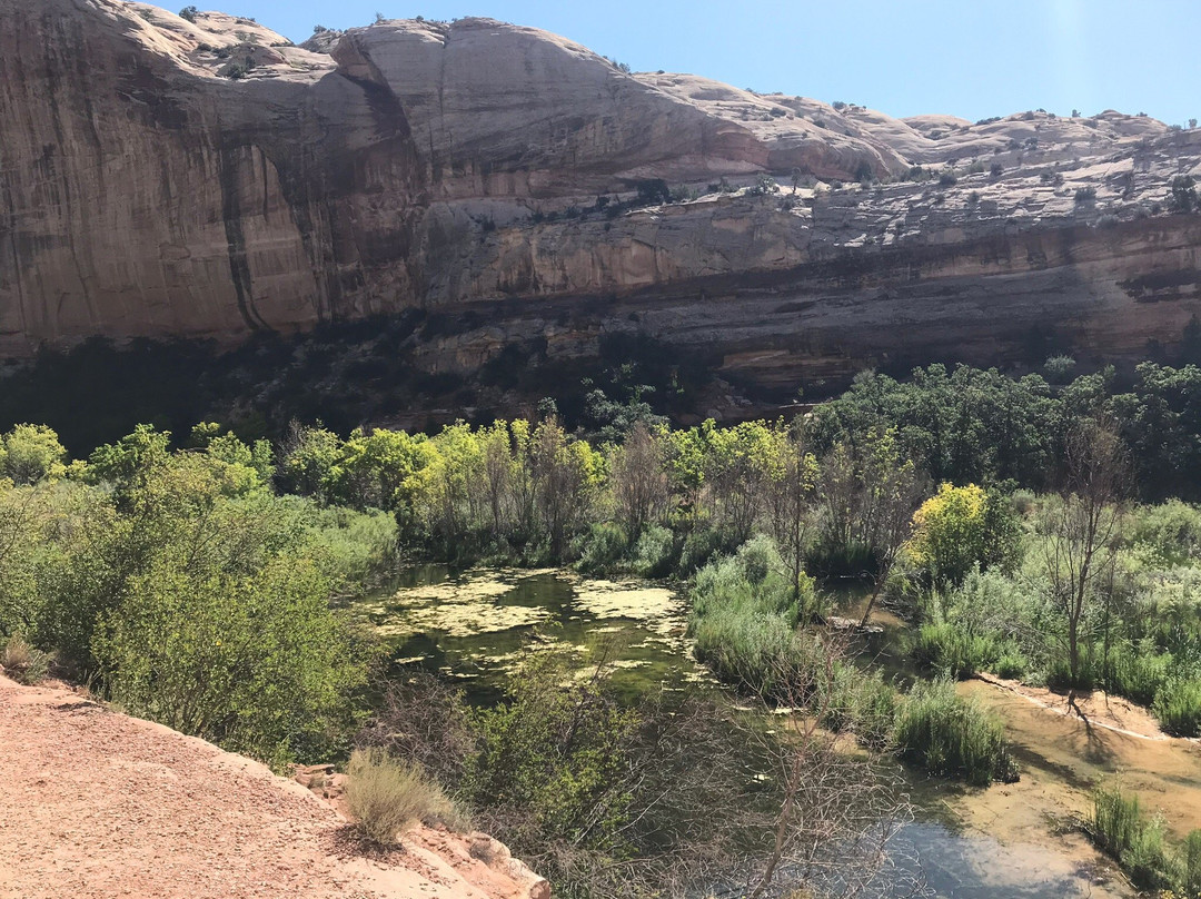 Upper Calf Creek Falls-Boulder必去景点