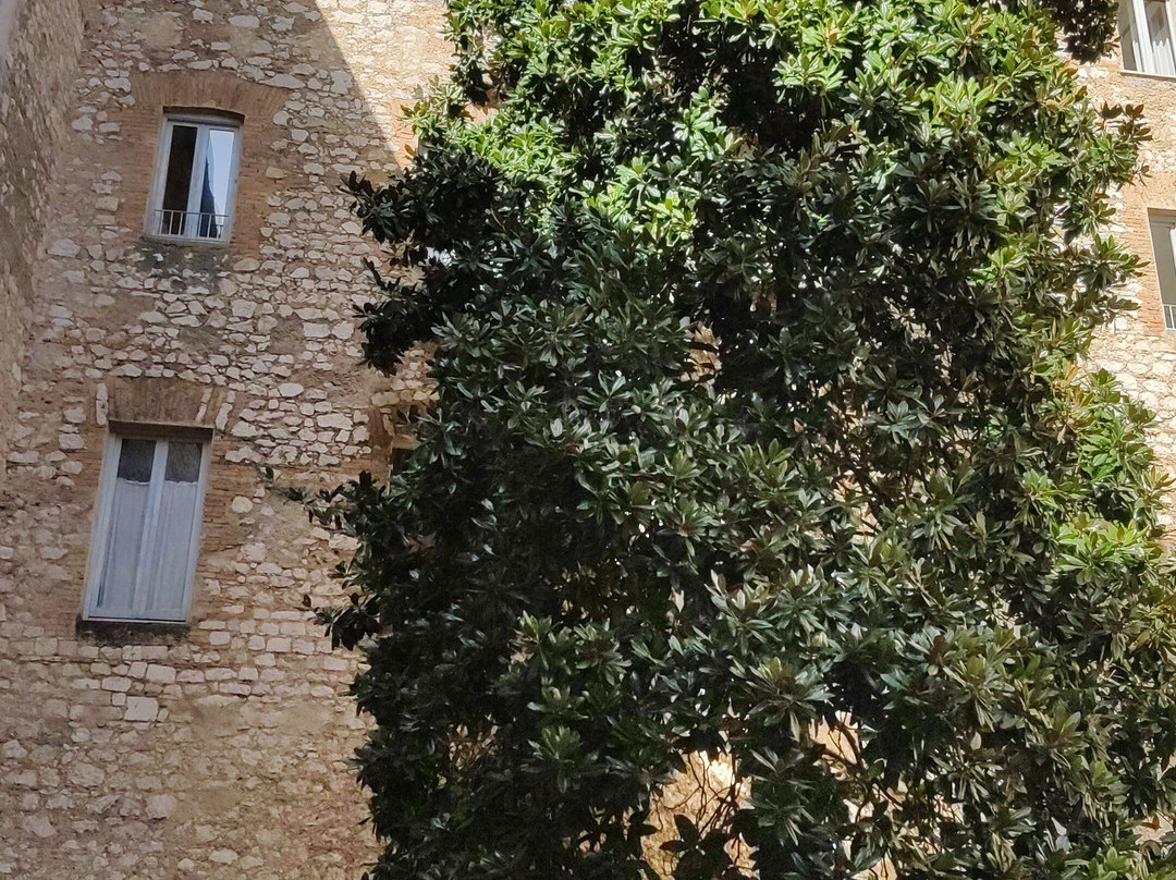 Biblioteca Comunale "L. Ceci"景点图片