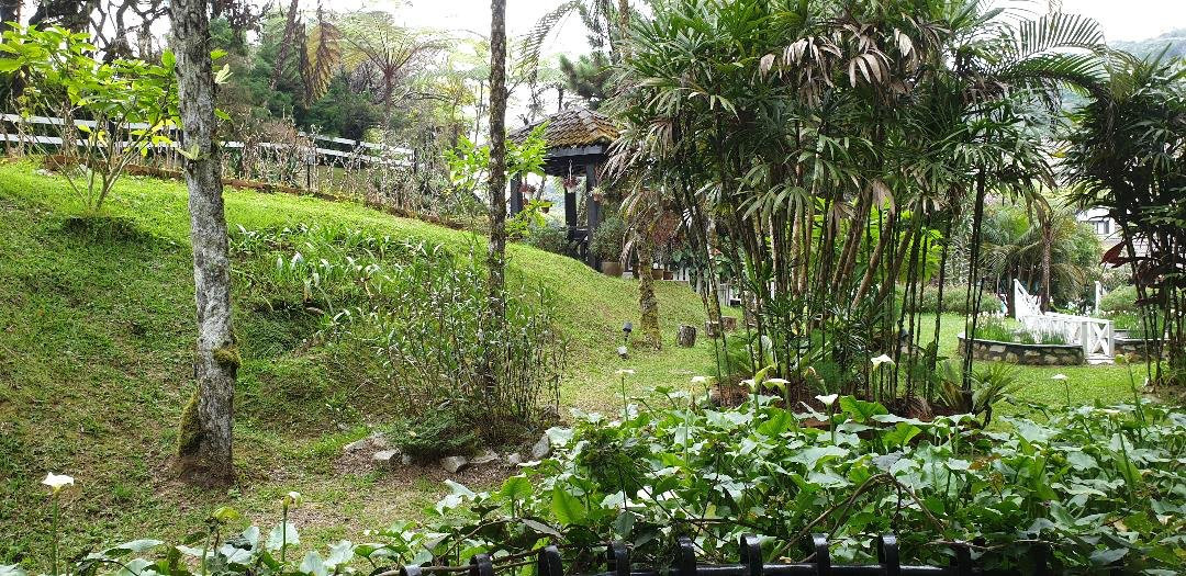 草莓园度假酒店主图