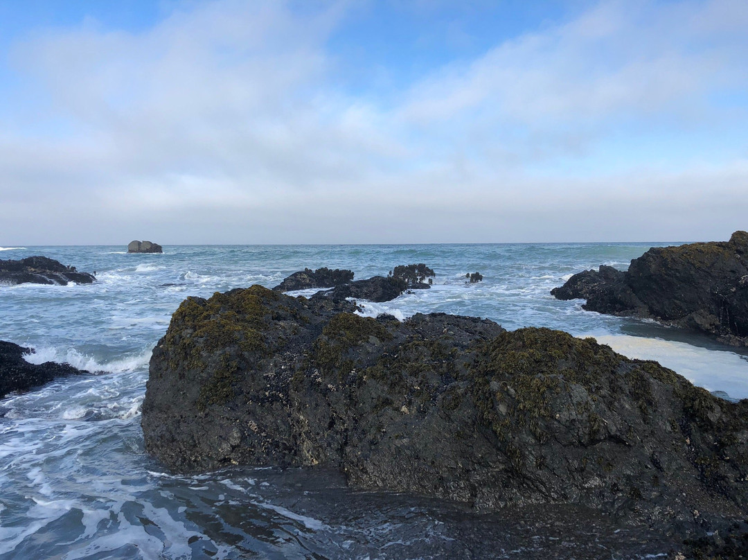 Lost Coast Trail景点图片