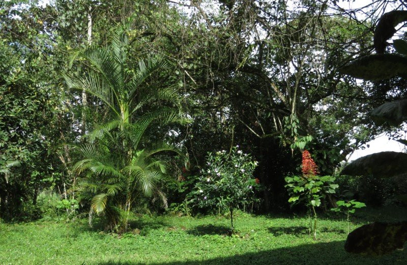 Talari Mountain Lodge主图