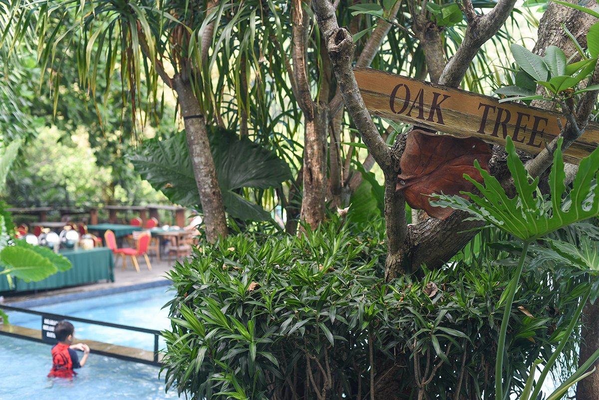 Oak Tree Emerald Hotel & Conventions Semarang-泳池