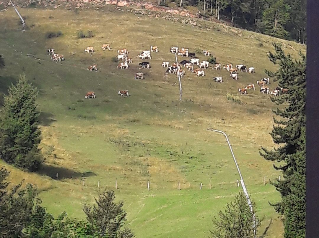 Hotel Bucaneve主图