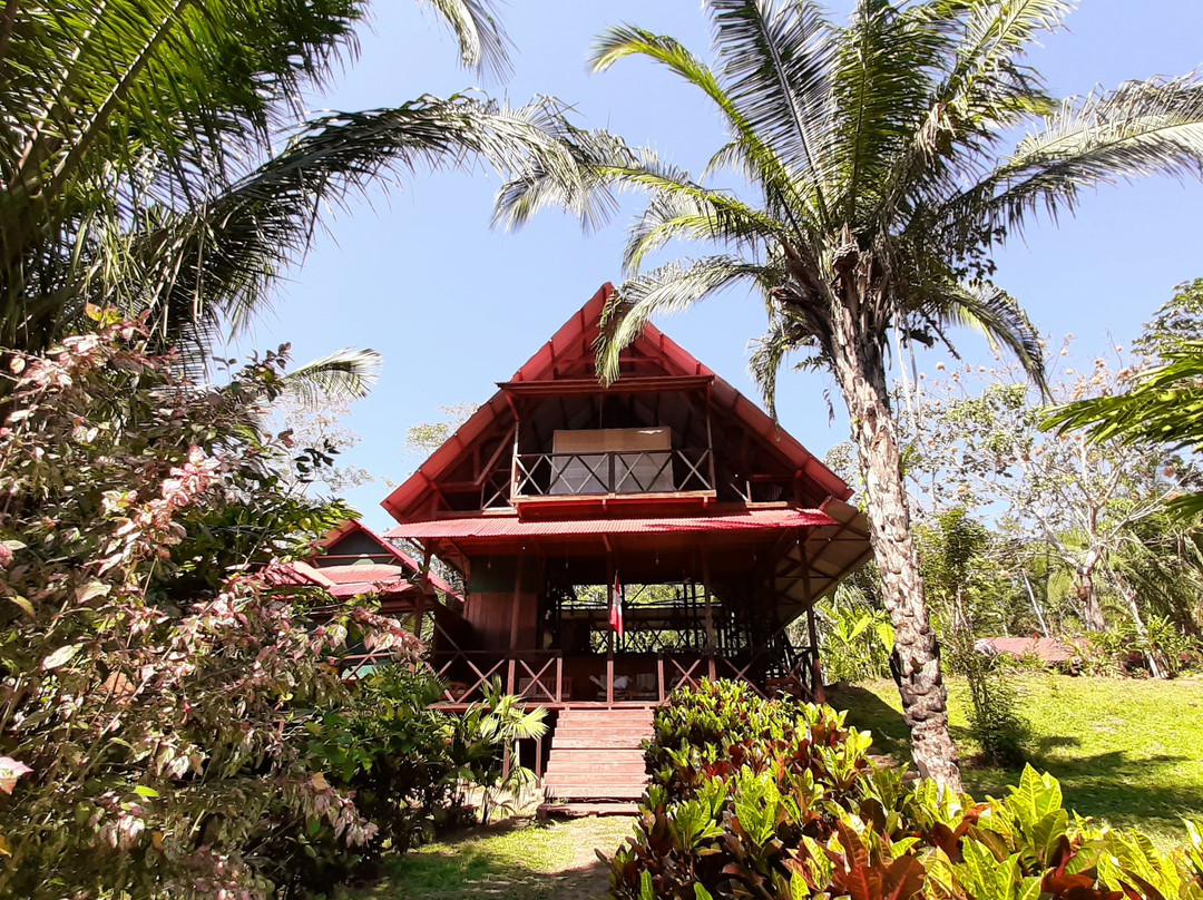 Amazon Lodge Tambopata