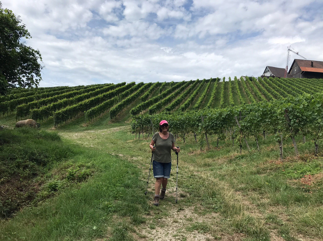 Holzwurm Erholung mit Genuss-Sasbachwalden必去景点