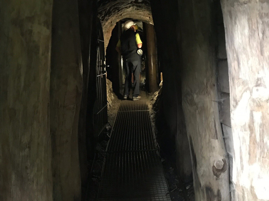 Erzgruben erlebniswelt am Grunten景点图片